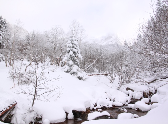20131221yatugatake-007.jpg