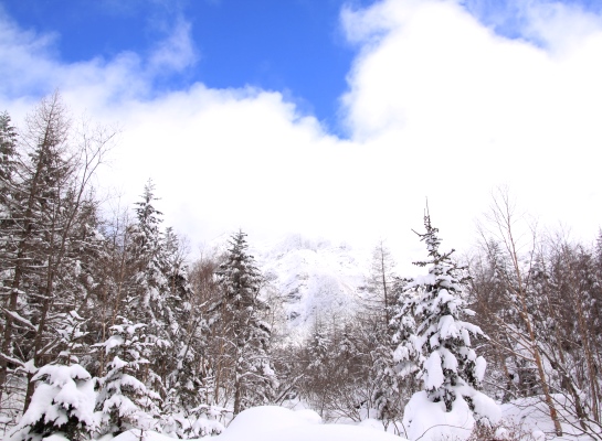 20131221yatugatake-008.jpg