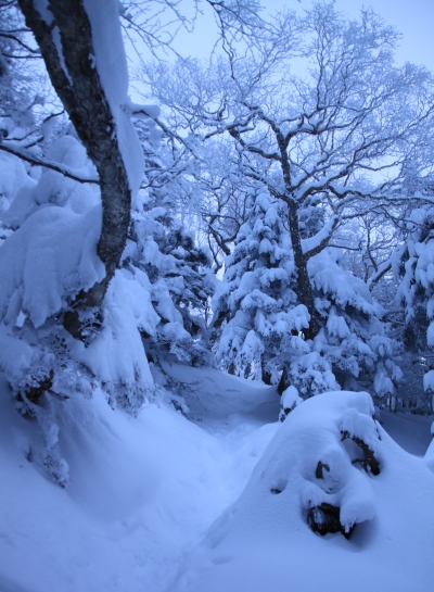 20131221yatugatake-101.jpg