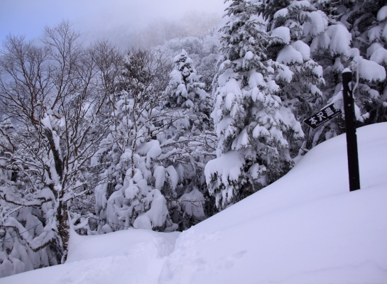 20131221yatugatake-119.jpg