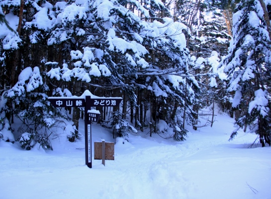 20131221yatugatake-120.jpg