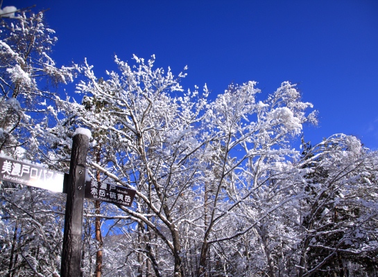 20140111yatugatake-003.jpg