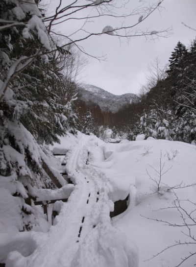 20140111yatugatake-006.jpg