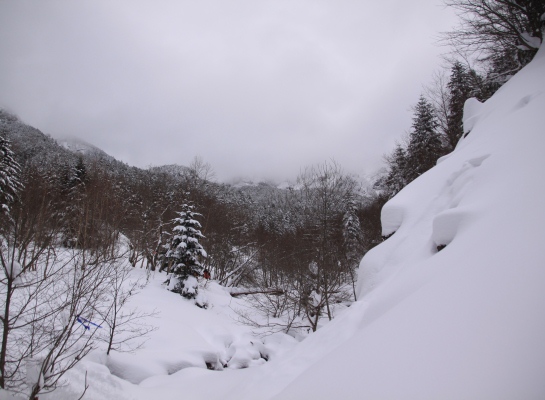 20140111yatugatake-007.jpg
