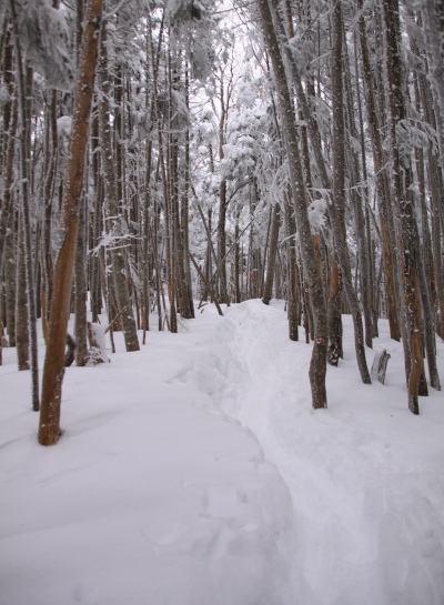 20140111yatugatake-010.jpg