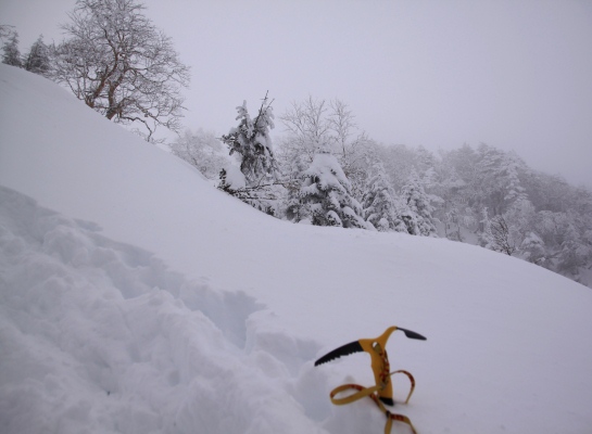 20140111yatugatake-011.jpg