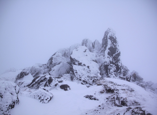 20140111yatugatake-013.jpg