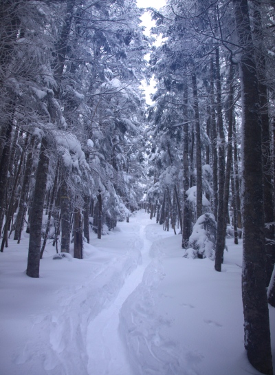 20140111yatugatake-018.jpg