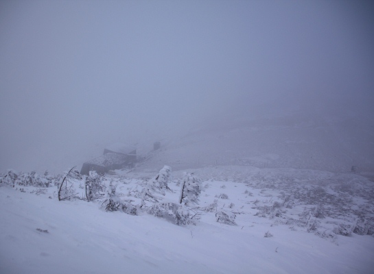 20140111yatugatake-019.jpg