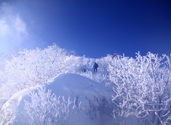 20140218tengu-122.jpg