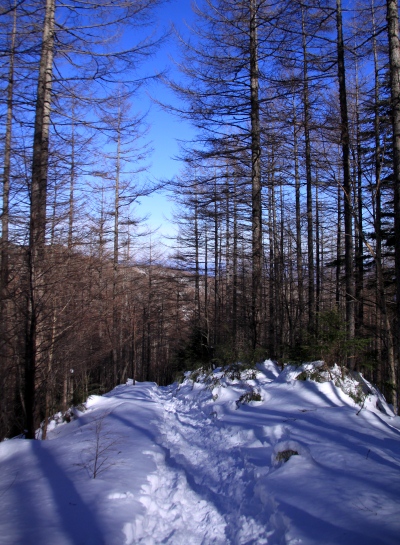 20140218tengu-133.jpg
