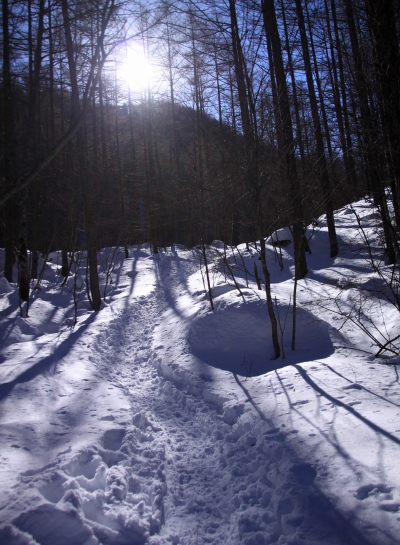 20140218tengu-134.jpg