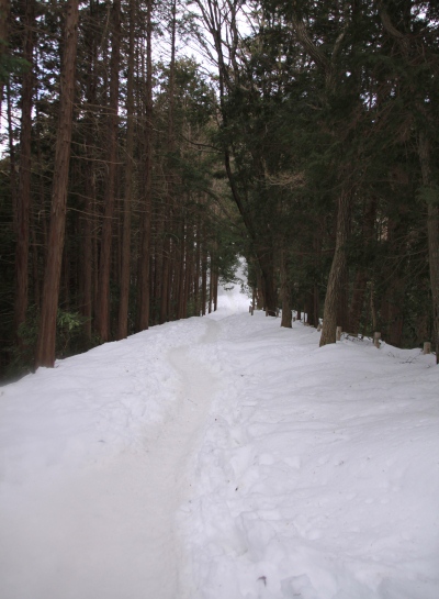 20140223takaosan-004.jpg