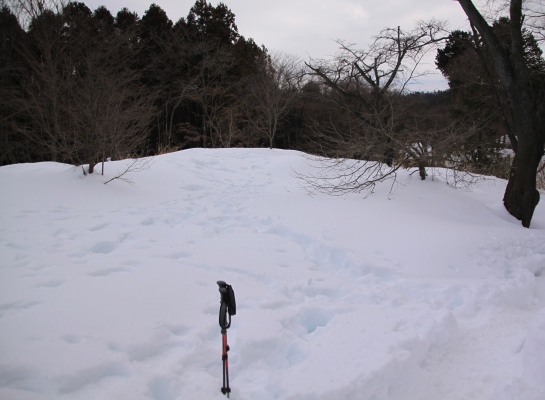 20140223takaosan-009.jpg