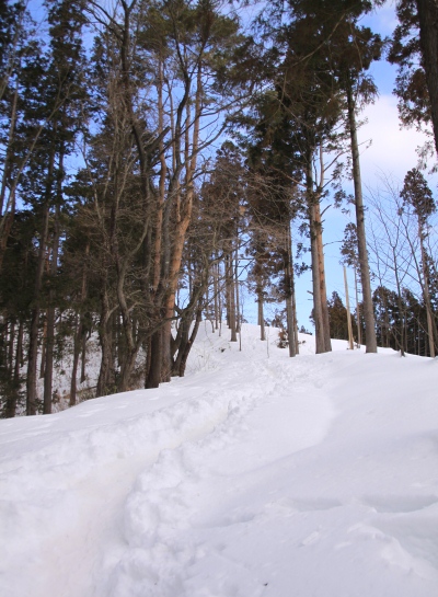 20140223takaosan-012.jpg