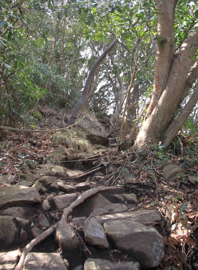 20140305numadualps-022.jpg