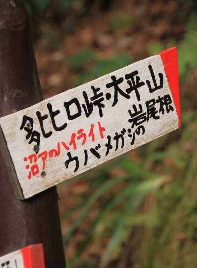 20140305numadualps-025.jpg