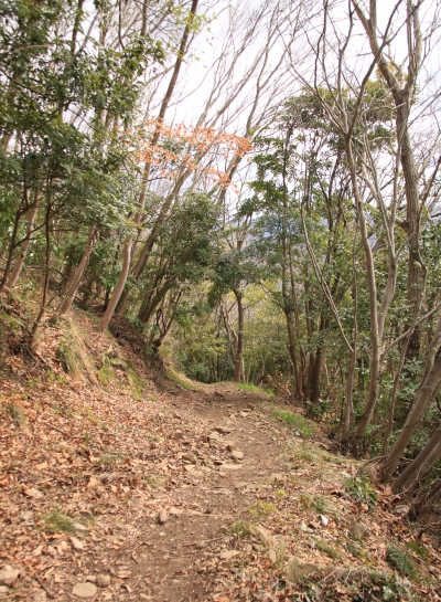 20140305numadualps-029.jpg
