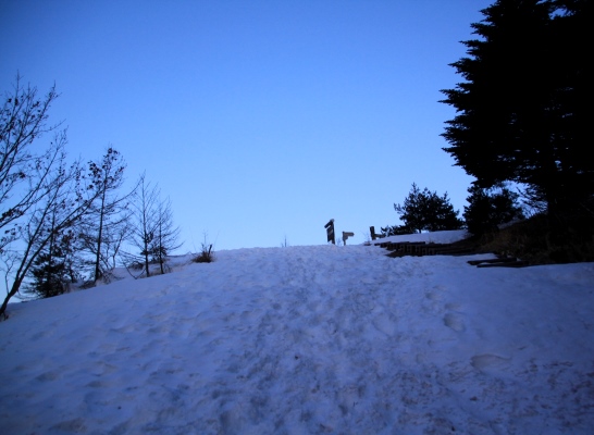 20140322mitugashira-001.jpg