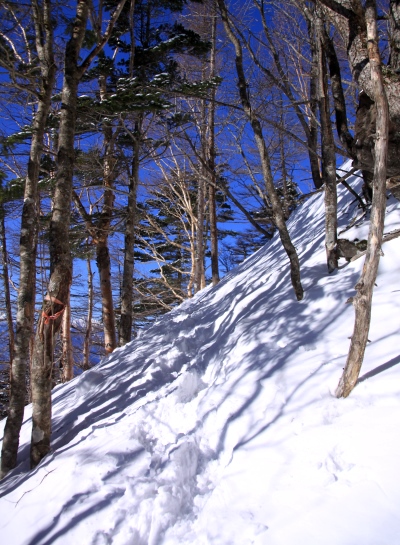 20140322mitugashira-012.jpg