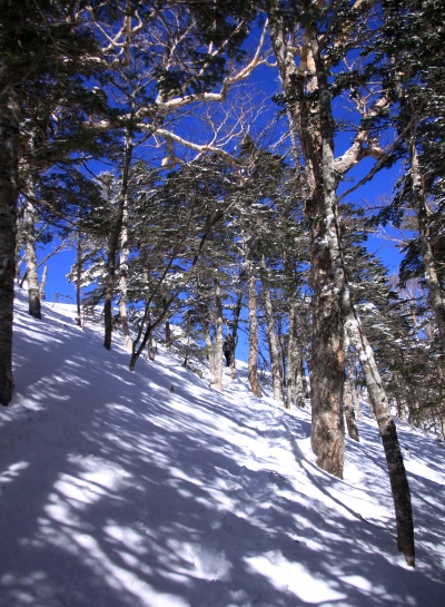 20140322mitugashira-014.jpg