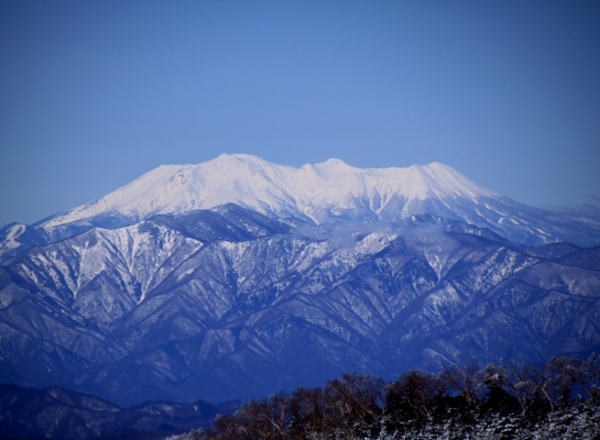 20140322mitugashira-020.jpg