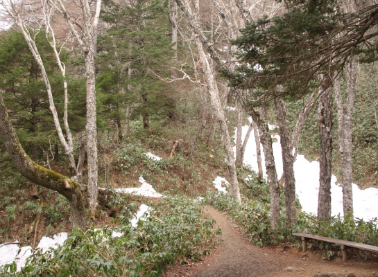 20140504tubakuro-003.jpg