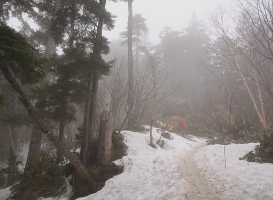 20140504tubakuro-004.jpg