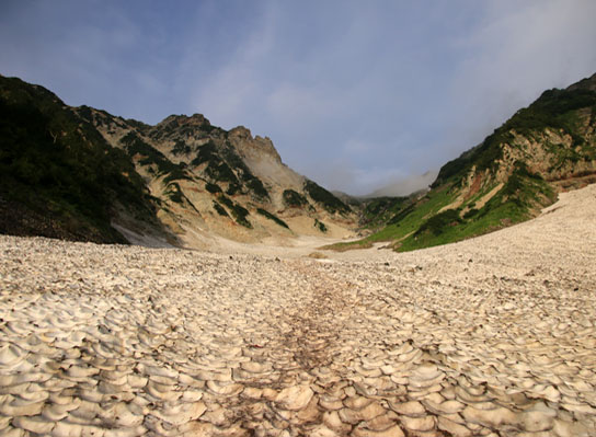 20140829hakubayari-006.jpg
