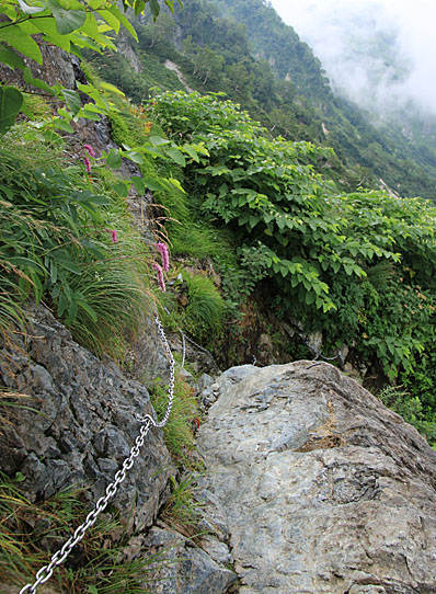 20140829hakubayari-027.jpg