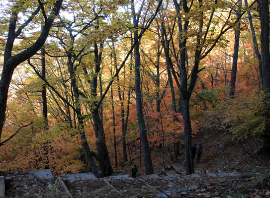20141025mizugakiyama-003.jpg