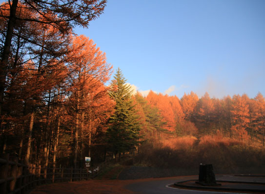 20141102gongendake-001.jpg