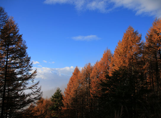 20141102gongendake-004.jpg