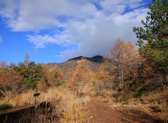 20141102gongendake-010.jpg