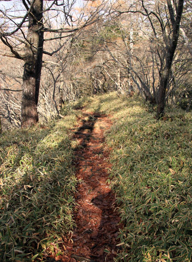 20141102gongendake-011.jpg