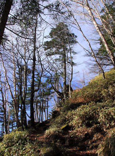 20141102gongendake-012.jpg