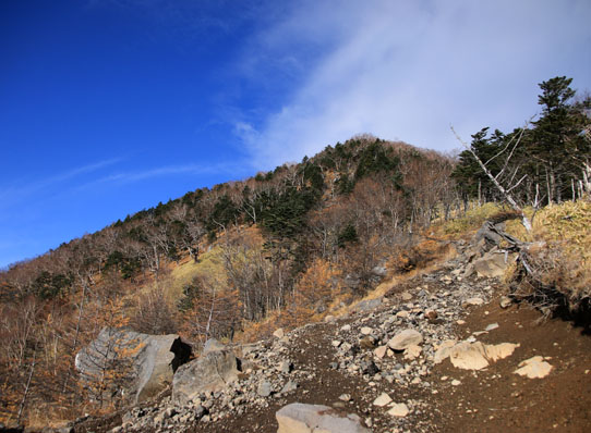 20141102gongendake-013.jpg