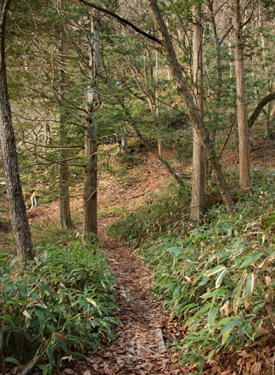 20141122tubakuro-002.jpg