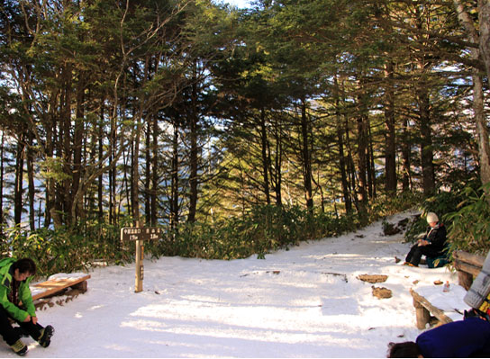 20141122tubakuro-005.jpg