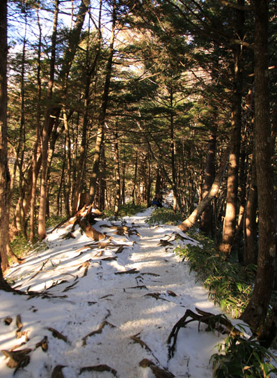 20141122tubakuro-007.jpg