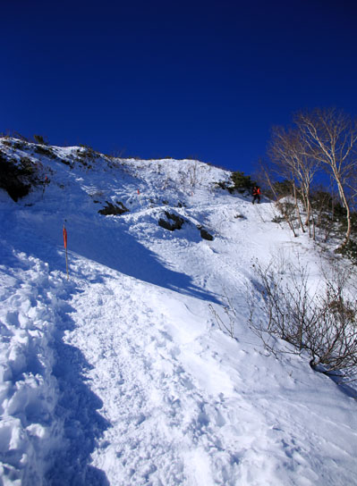 20141122tubakuro-009.jpg