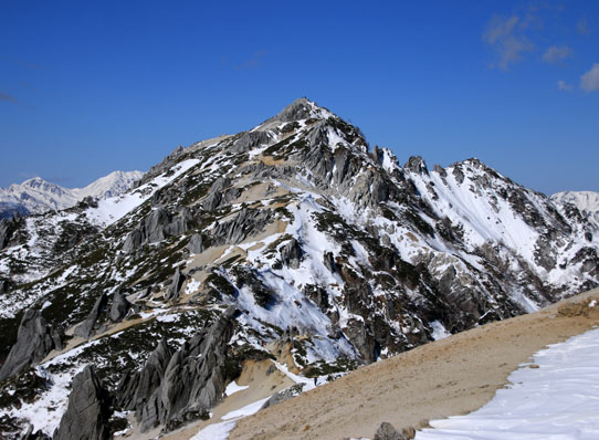 20141122tubakuro-015.jpg