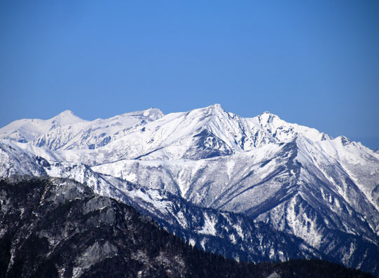 20141122tubakuro-018.jpg