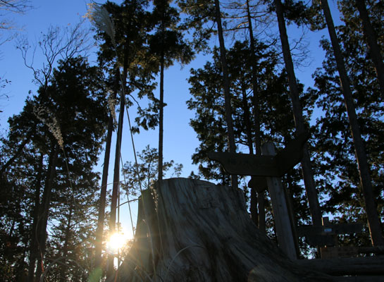 20141223kusatoyama-005.jpg