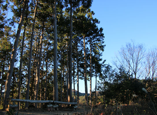 20141223kusatoyama-006.jpg