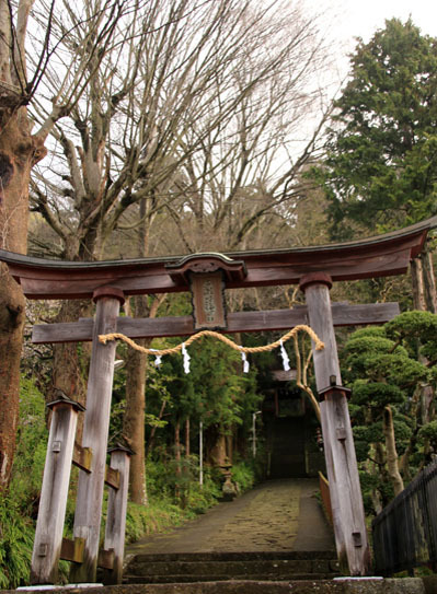 20150412jinba-003.jpg