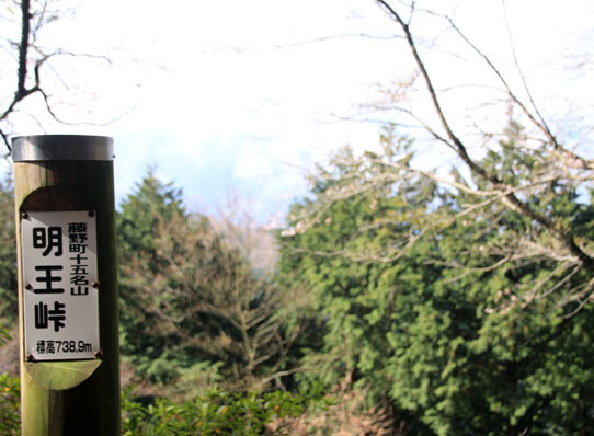 20150412jinba-007.jpg