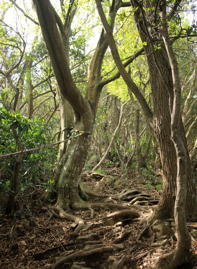 20150521numadu-013.jpg