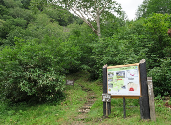 20150821renge-002.jpg