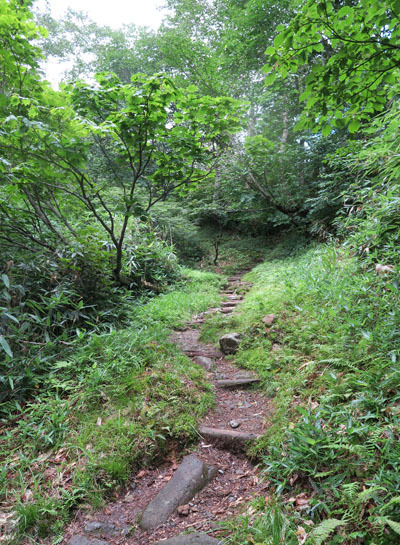 20150821renge-003.jpg
